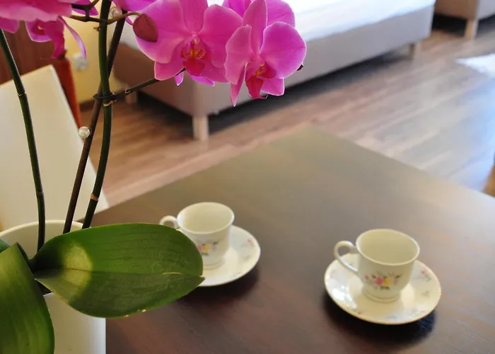 Ewa 미엥지즈드로예